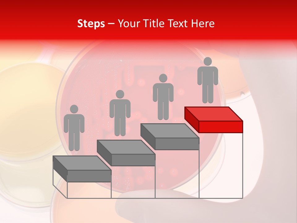 Diagnostics Bacteria Disease PowerPoint Template