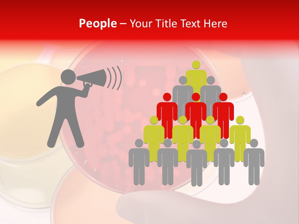 Diagnostics Bacteria Disease PowerPoint Template