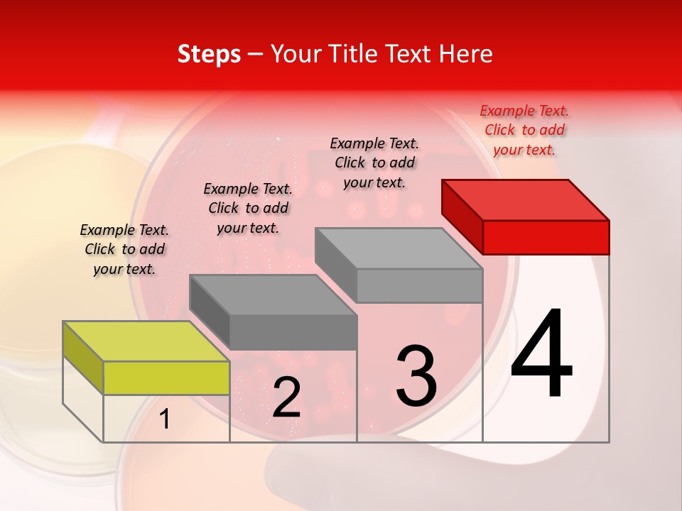 Diagnostics Bacteria Disease PowerPoint Template