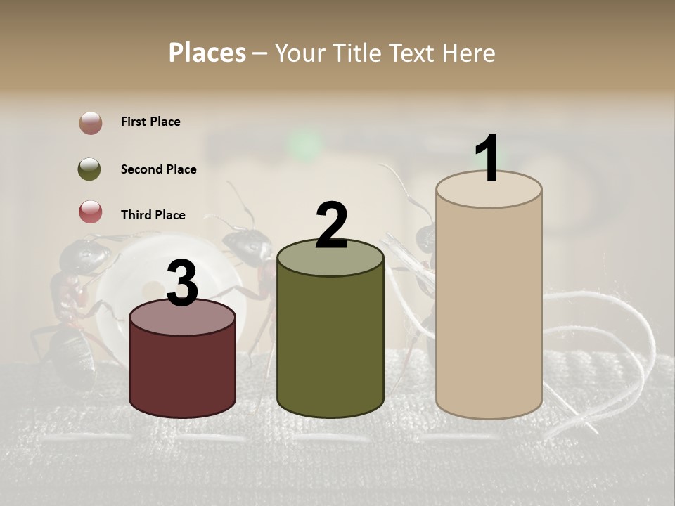 Funny Sew Team PowerPoint Template