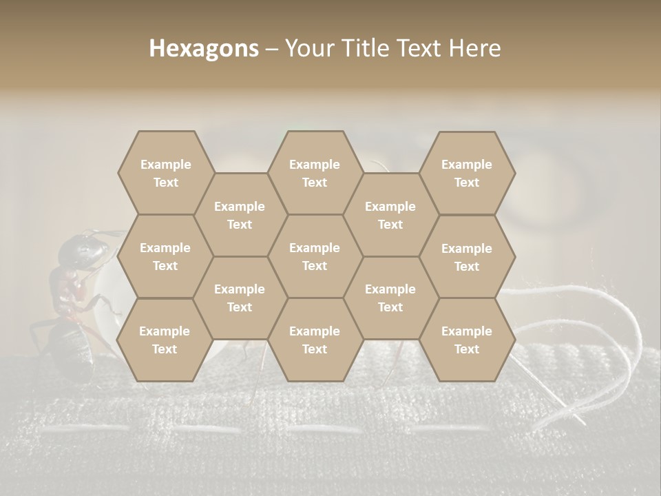 Funny Sew Team PowerPoint Template