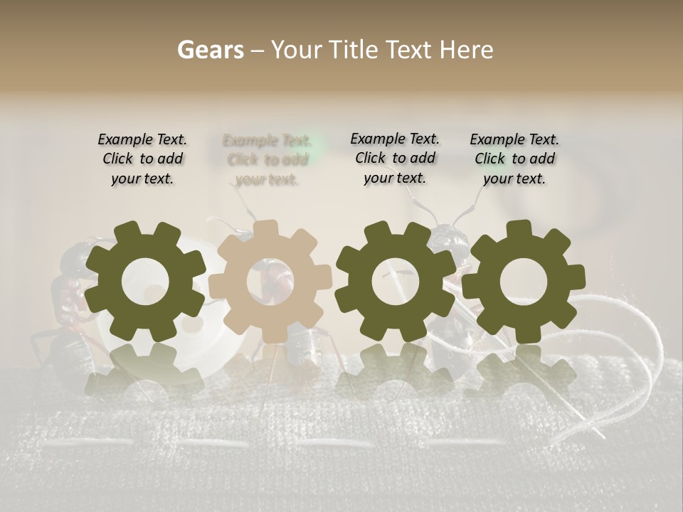 Funny Sew Team PowerPoint Template