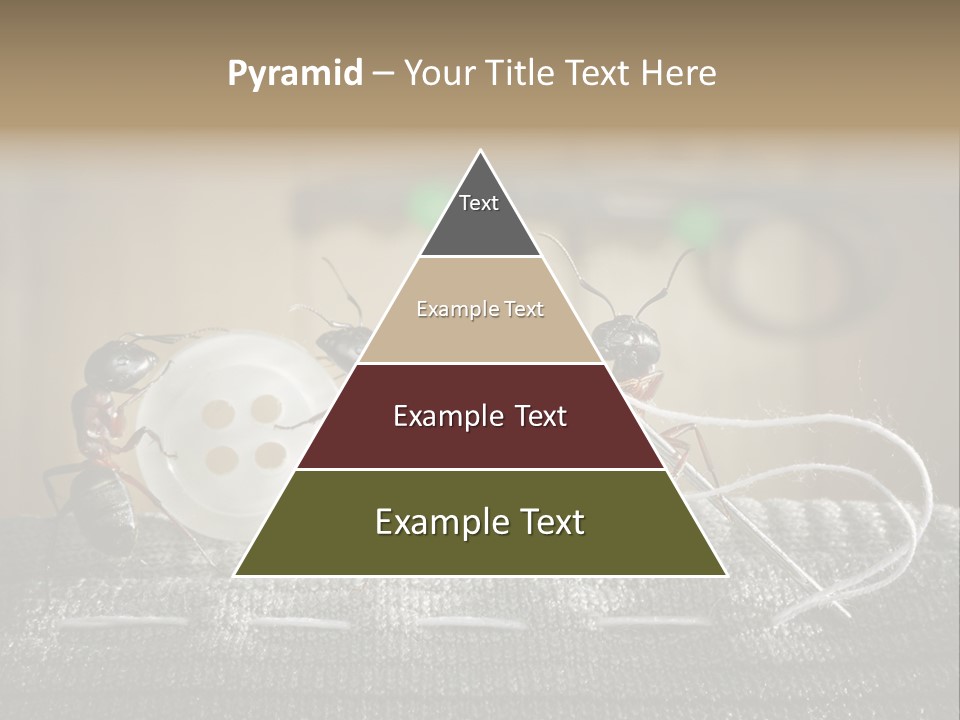 Funny Sew Team PowerPoint Template