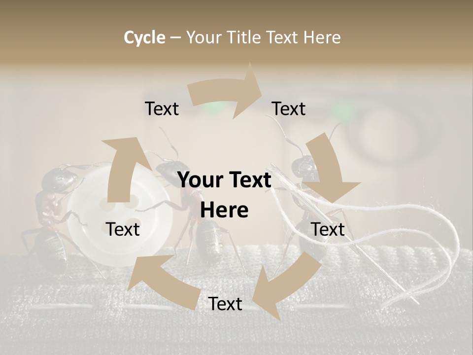 Funny Sew Team PowerPoint Template