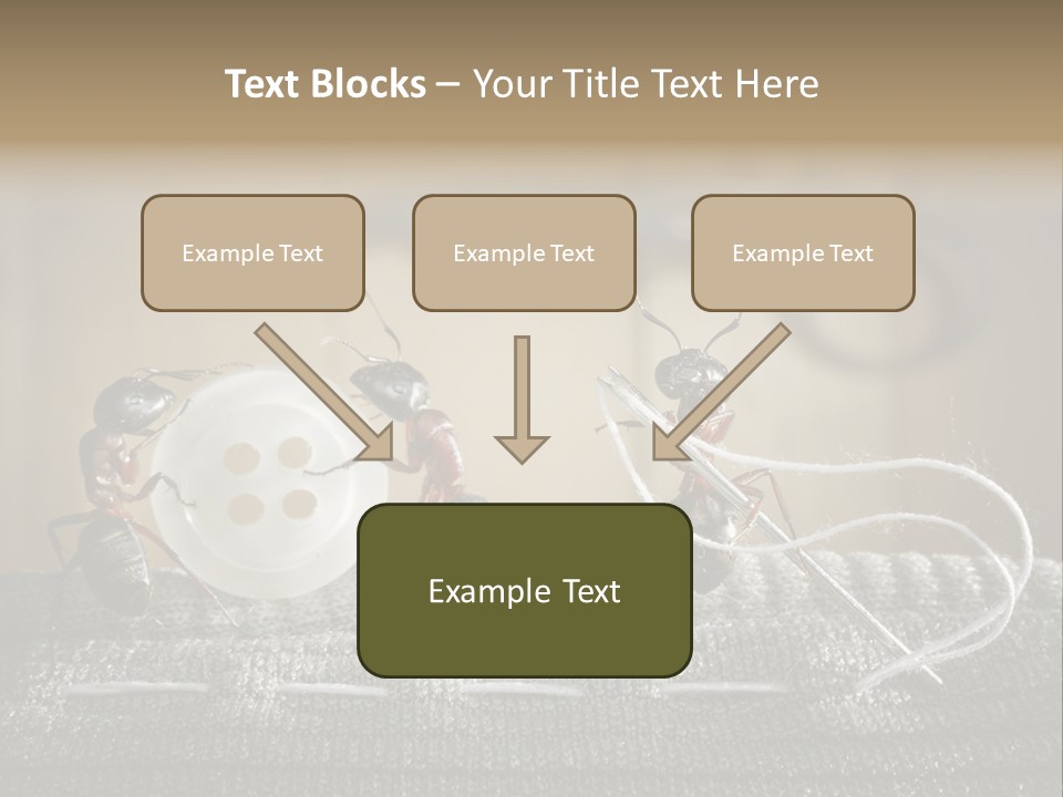 Funny Sew Team PowerPoint Template