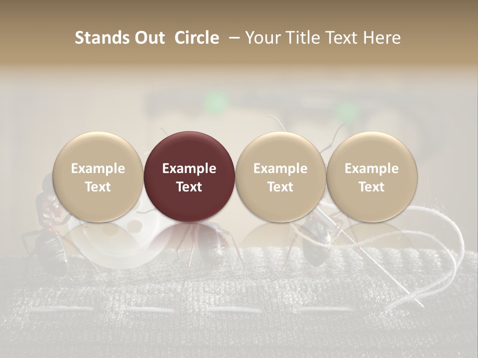 Funny Sew Team PowerPoint Template