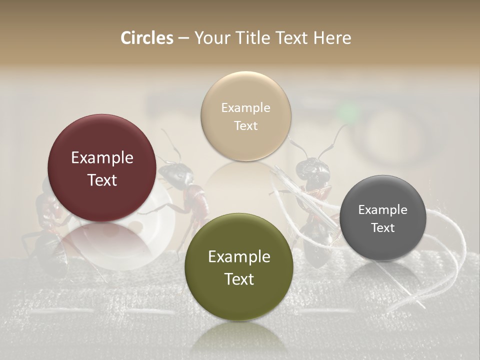 Funny Sew Team PowerPoint Template