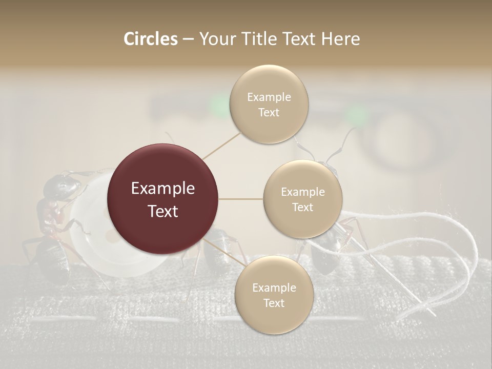 Funny Sew Team PowerPoint Template