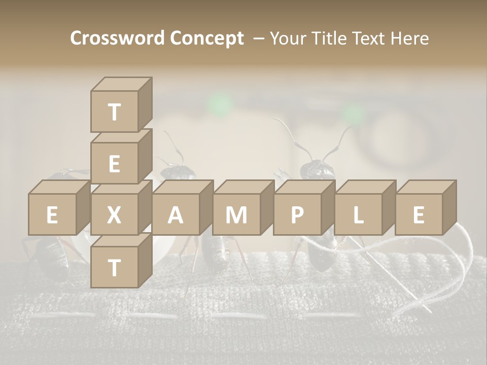 Funny Sew Team PowerPoint Template