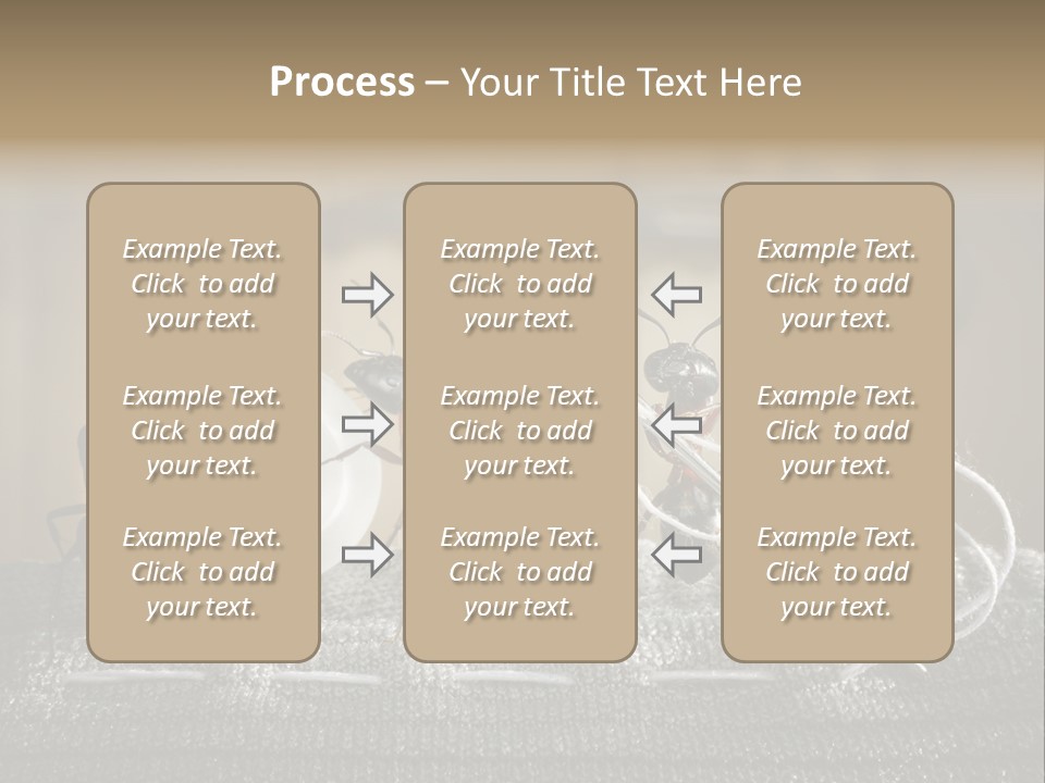 Funny Sew Team PowerPoint Template