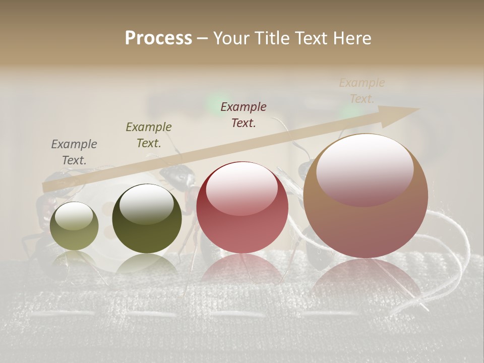 Funny Sew Team PowerPoint Template