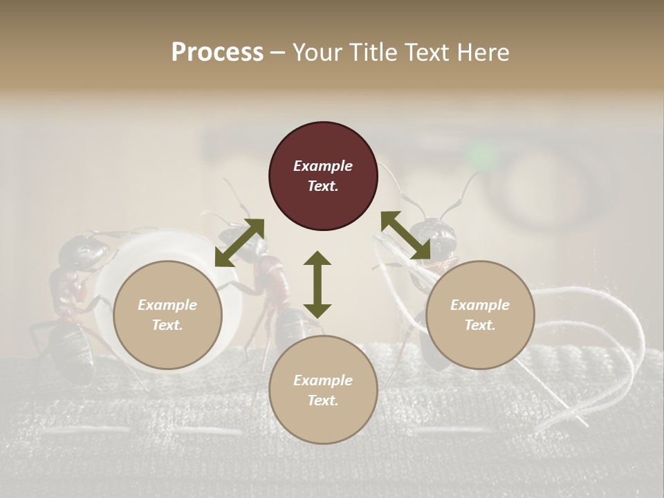 Funny Sew Team PowerPoint Template