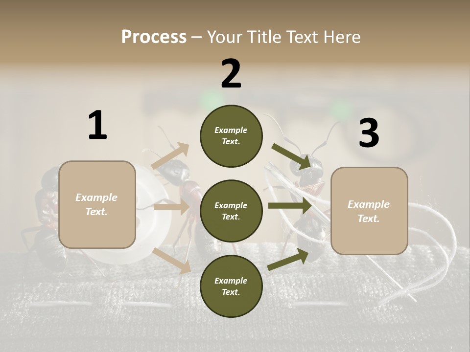 Funny Sew Team PowerPoint Template