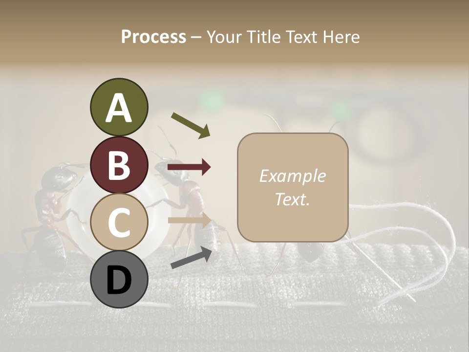 Funny Sew Team PowerPoint Template