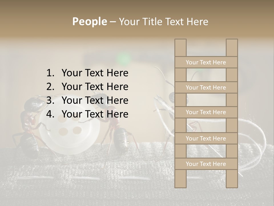 Funny Sew Team PowerPoint Template