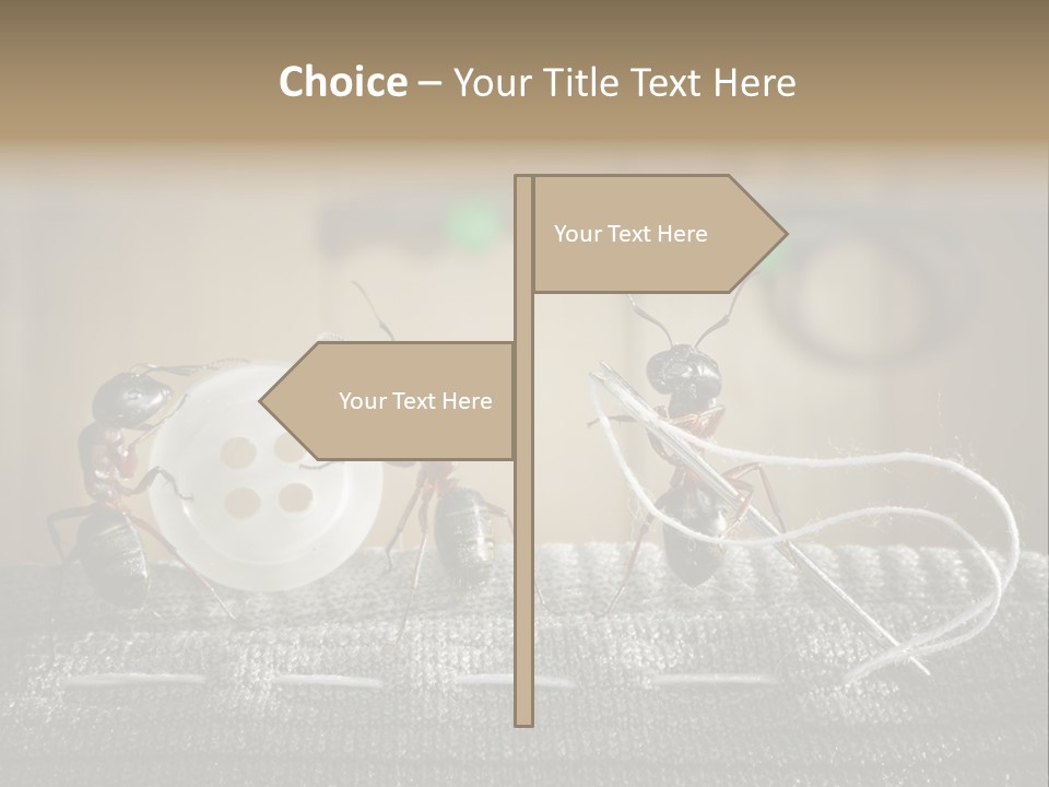 Funny Sew Team PowerPoint Template