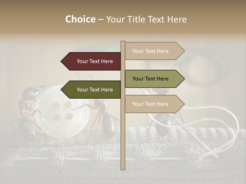 Funny Sew Team PowerPoint Template