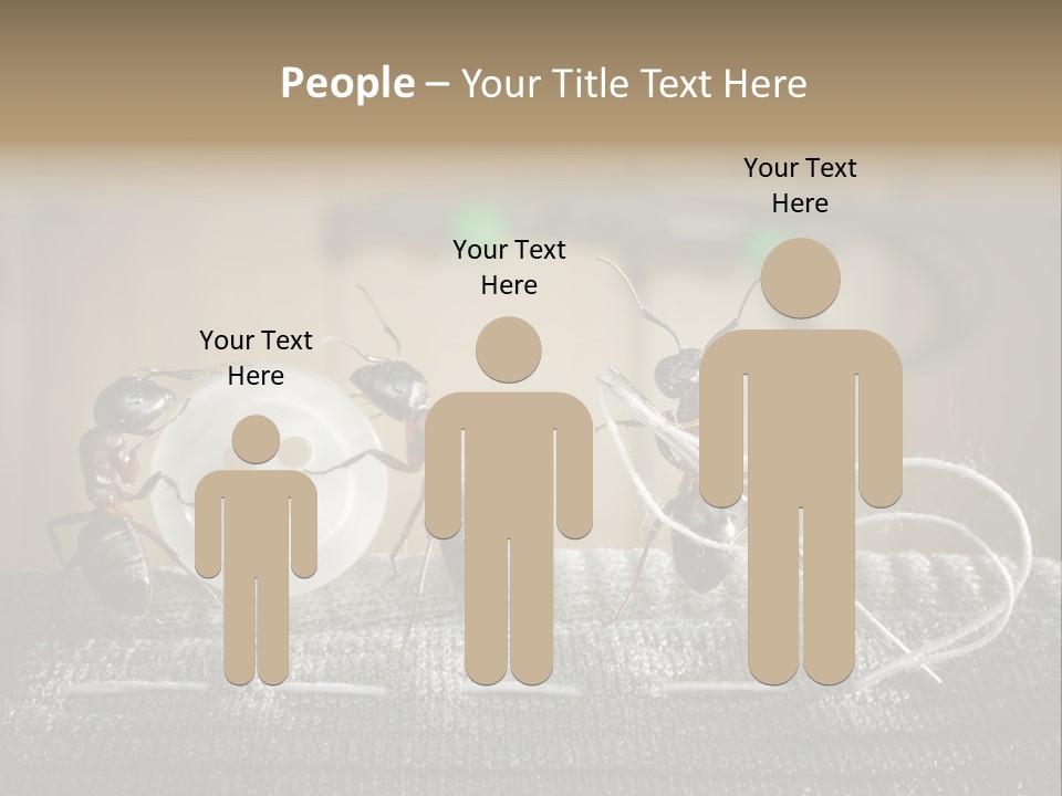 Funny Sew Team PowerPoint Template