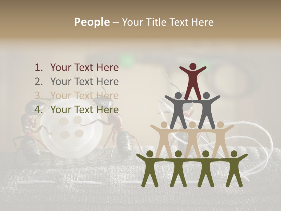 Funny Sew Team PowerPoint Template