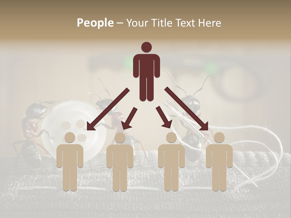 Funny Sew Team PowerPoint Template