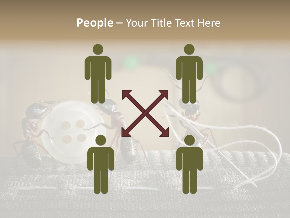 Funny Sew Team PowerPoint Template