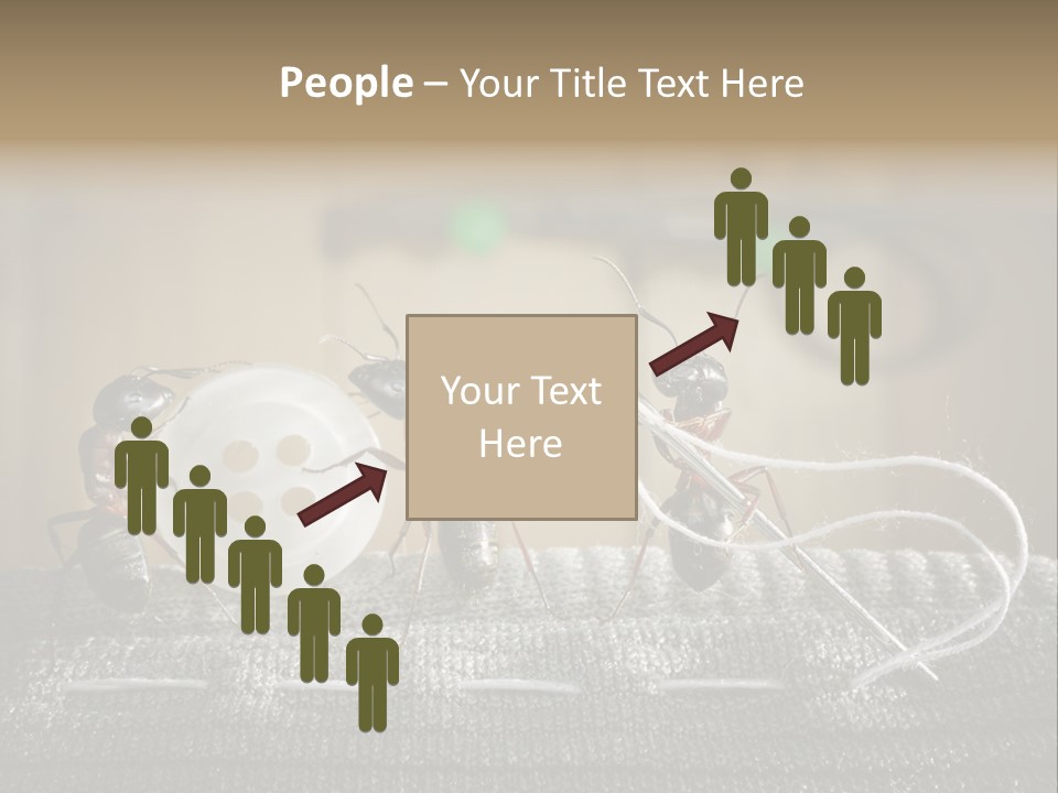 Funny Sew Team PowerPoint Template