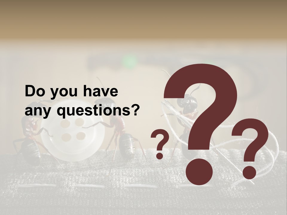 Funny Sew Team PowerPoint Template