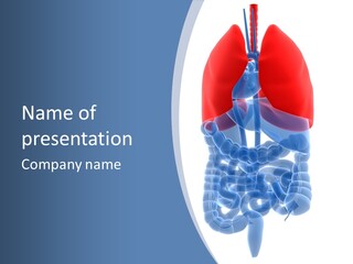 A Medical Powerpoint Presentation With A Diagram Of The Lungs PowerPoint Template