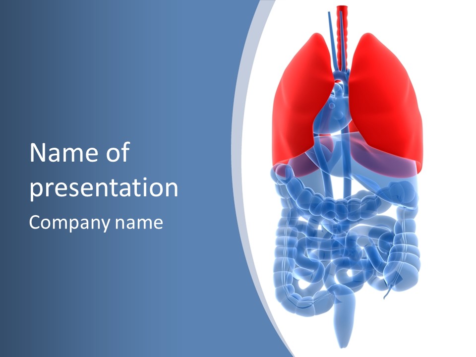 A Medical Powerpoint Presentation With A Diagram Of The Lungs PowerPoint Template