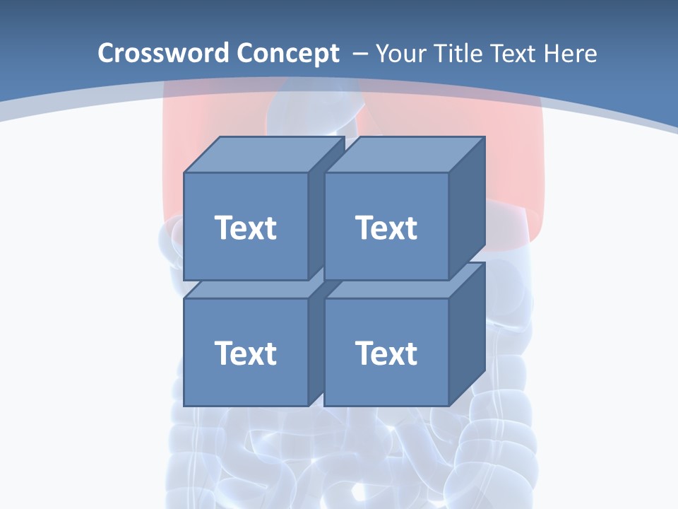 A Medical Powerpoint Presentation With A Diagram Of The Lungs PowerPoint Template