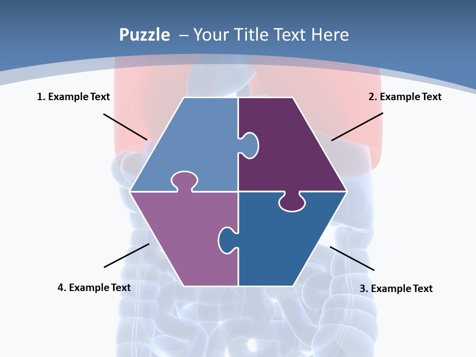 A Medical Powerpoint Presentation With A Diagram Of The Lungs PowerPoint Template