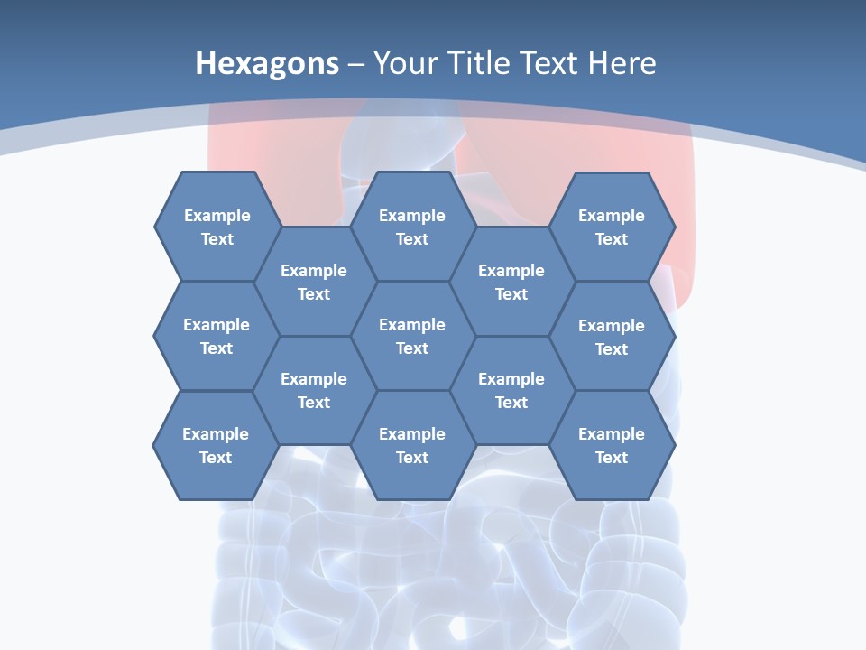 A Medical Powerpoint Presentation With A Diagram Of The Lungs PowerPoint Template