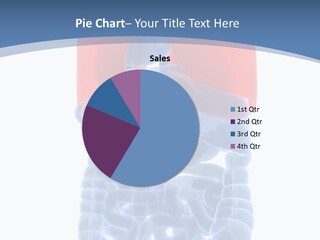 A Medical Powerpoint Presentation With A Diagram Of The Lungs PowerPoint Template