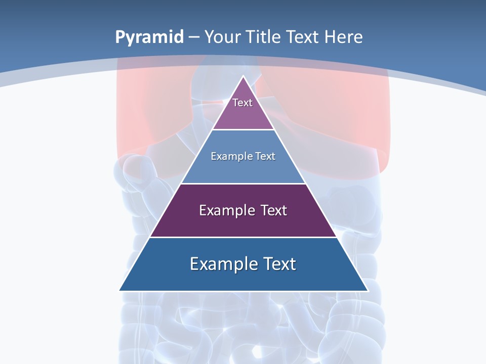 A Medical Powerpoint Presentation With A Diagram Of The Lungs PowerPoint Template