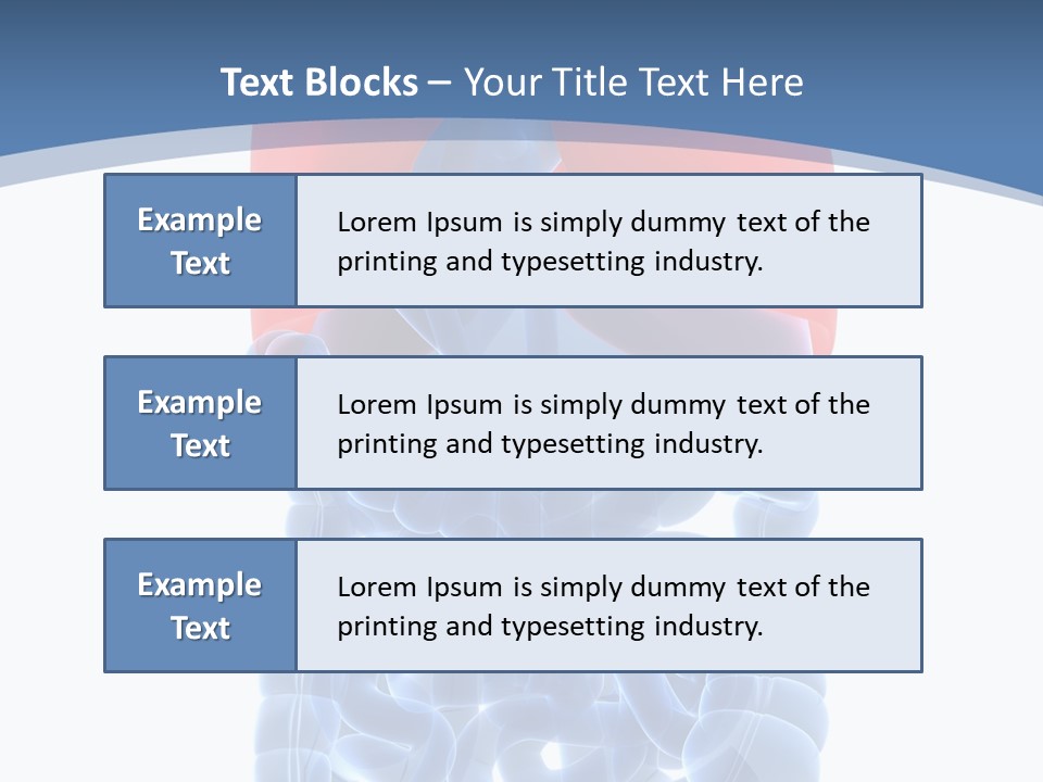 A Medical Powerpoint Presentation With A Diagram Of The Lungs PowerPoint Template
