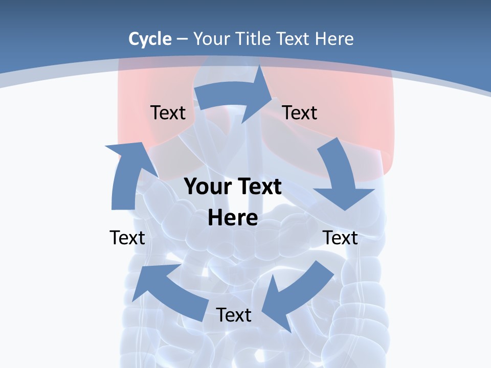 A Medical Powerpoint Presentation With A Diagram Of The Lungs PowerPoint Template
