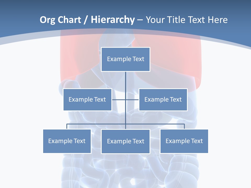 A Medical Powerpoint Presentation With A Diagram Of The Lungs PowerPoint Template