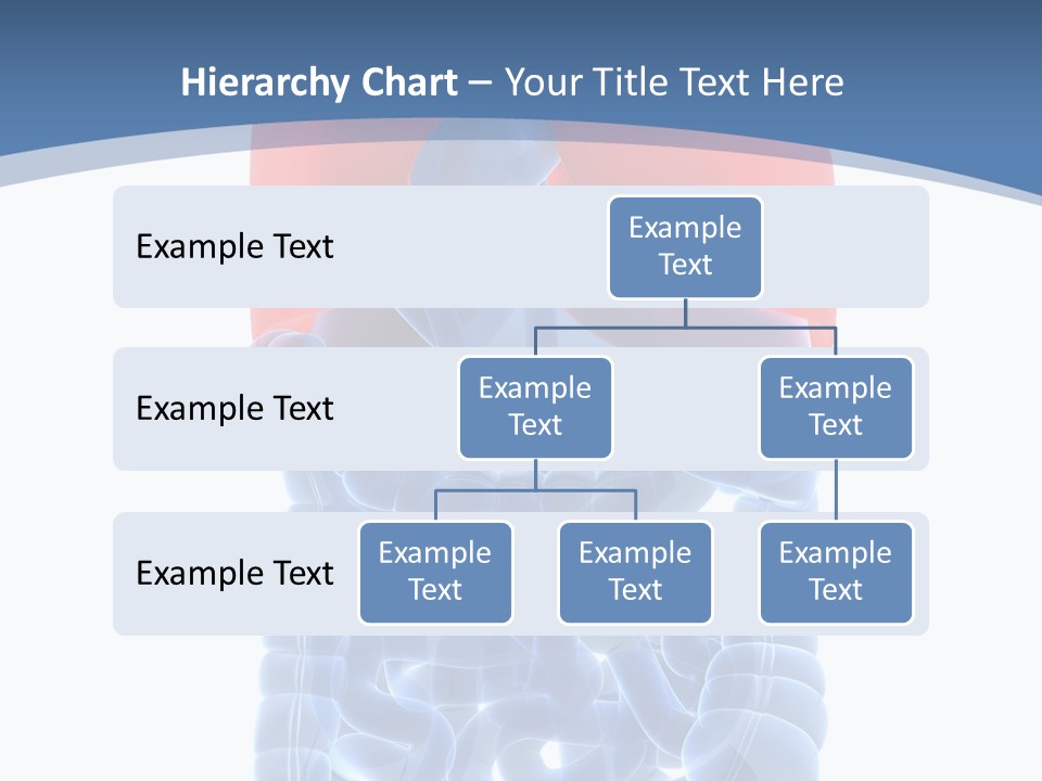 A Medical Powerpoint Presentation With A Diagram Of The Lungs PowerPoint Template