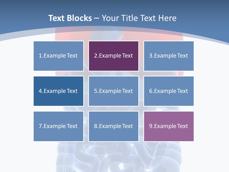 A Medical Powerpoint Presentation With A Diagram Of The Lungs PowerPoint Template