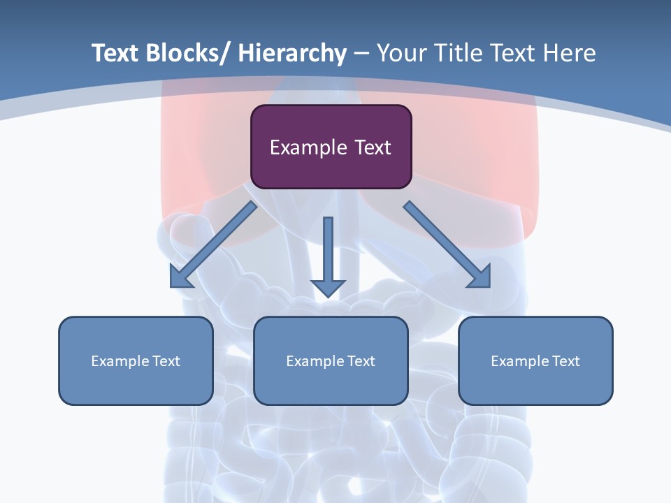 A Medical Powerpoint Presentation With A Diagram Of The Lungs PowerPoint Template