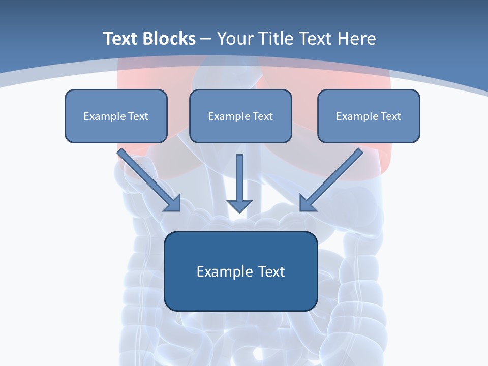 A Medical Powerpoint Presentation With A Diagram Of The Lungs PowerPoint Template