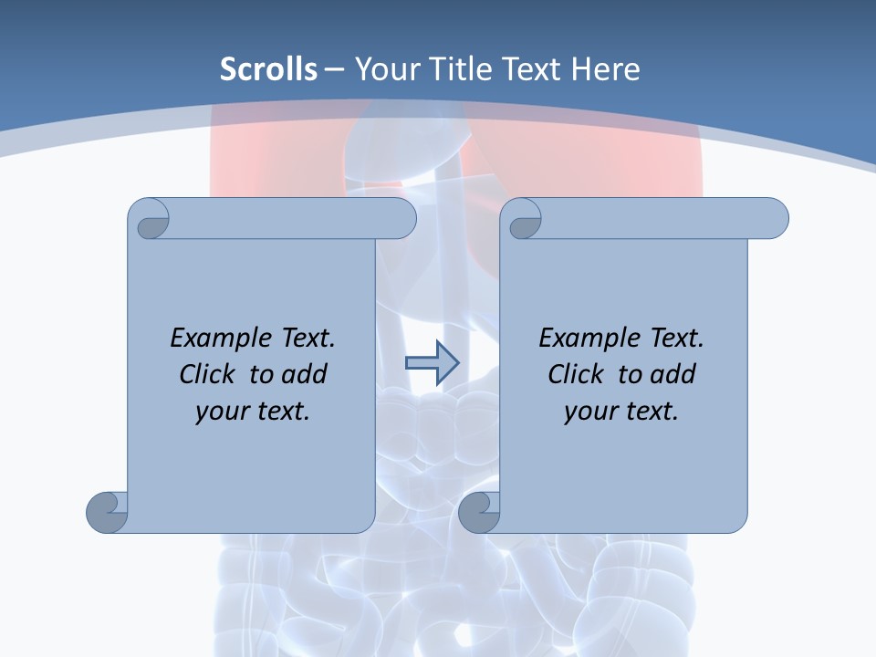 A Medical Powerpoint Presentation With A Diagram Of The Lungs PowerPoint Template