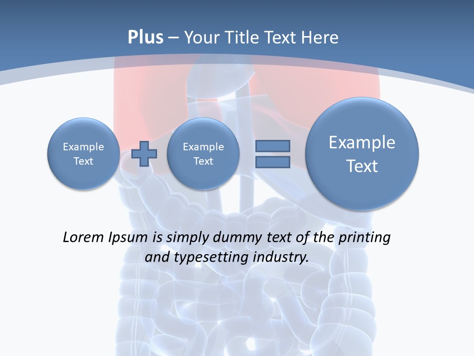 A Medical Powerpoint Presentation With A Diagram Of The Lungs PowerPoint Template