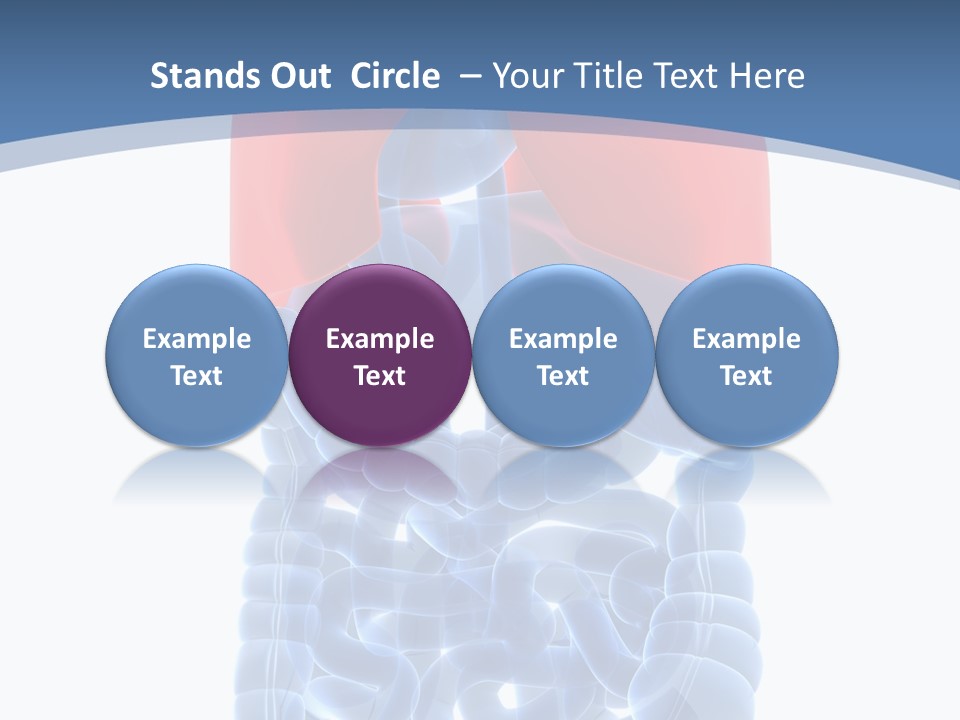 A Medical Powerpoint Presentation With A Diagram Of The Lungs PowerPoint Template