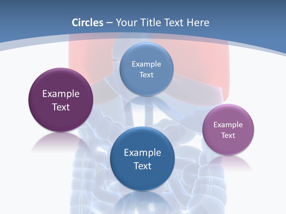A Medical Powerpoint Presentation With A Diagram Of The Lungs PowerPoint Template