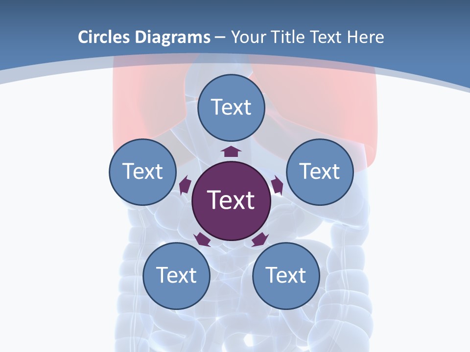 A Medical Powerpoint Presentation With A Diagram Of The Lungs PowerPoint Template