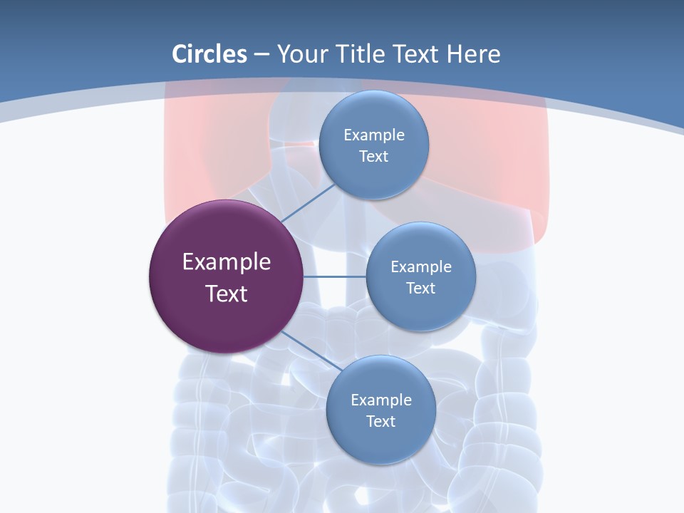 A Medical Powerpoint Presentation With A Diagram Of The Lungs PowerPoint Template