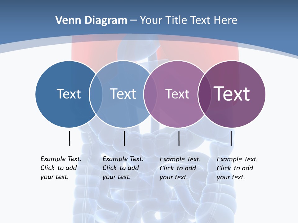 A Medical Powerpoint Presentation With A Diagram Of The Lungs PowerPoint Template