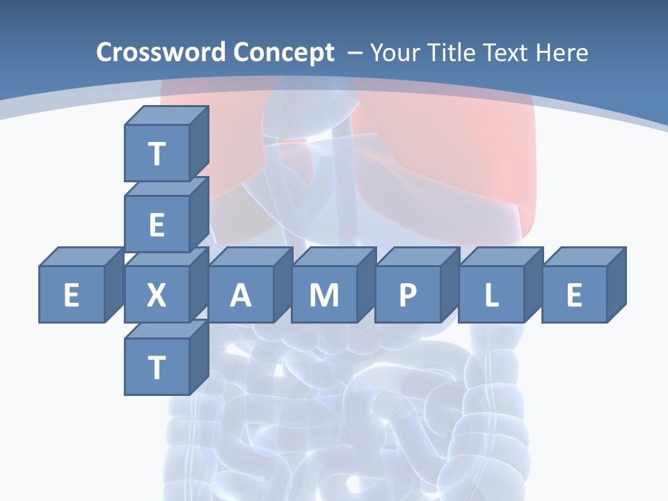 A Medical Powerpoint Presentation With A Diagram Of The Lungs PowerPoint Template