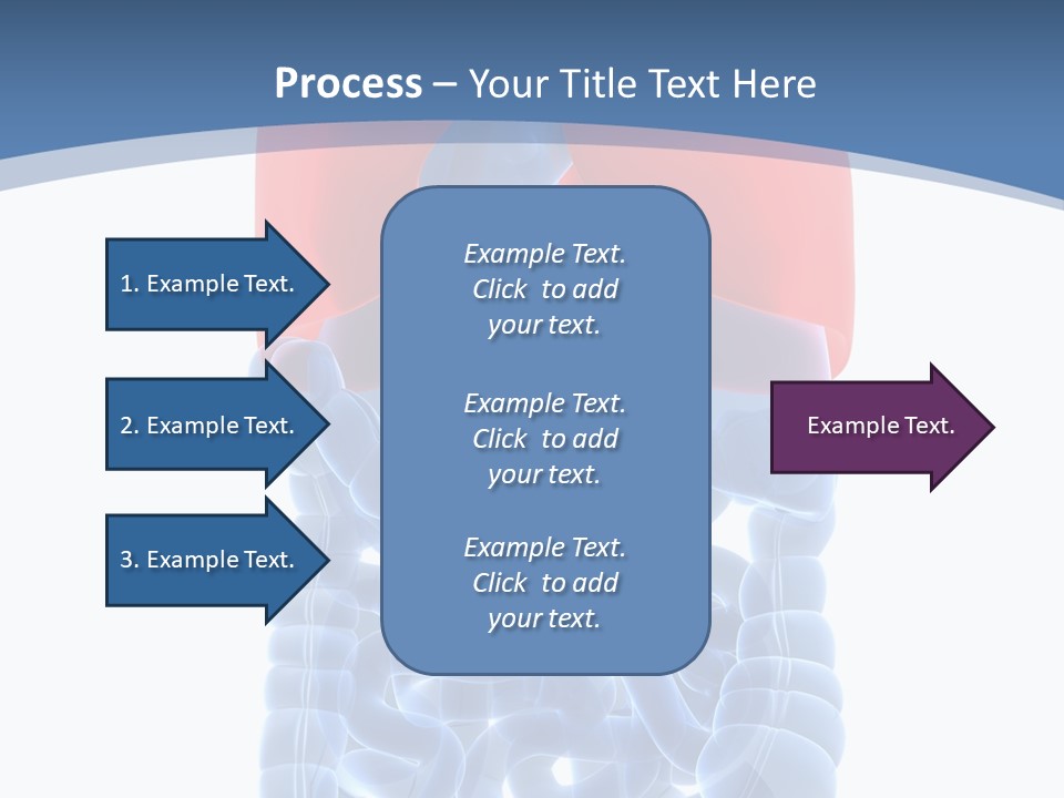A Medical Powerpoint Presentation With A Diagram Of The Lungs PowerPoint Template